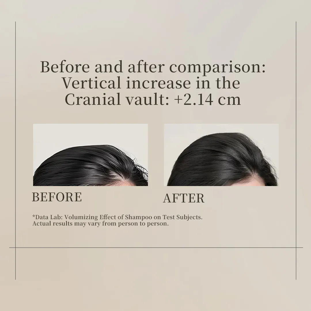 RL0044 0035 0027 0019 Shampoo Main 2