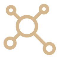 solution icon02